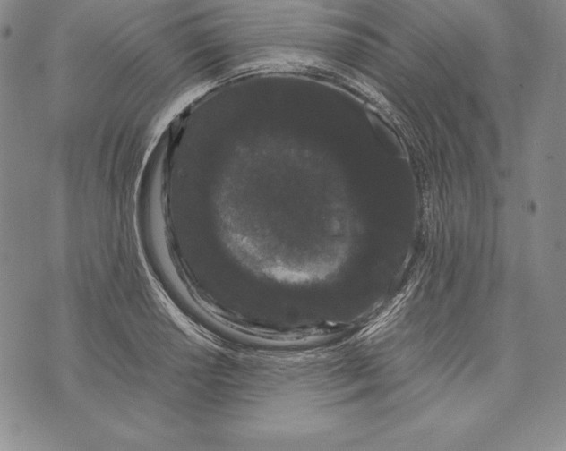 X0000072501034200608041436