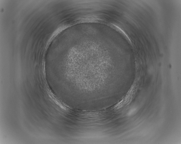 X0000072501035200608041436