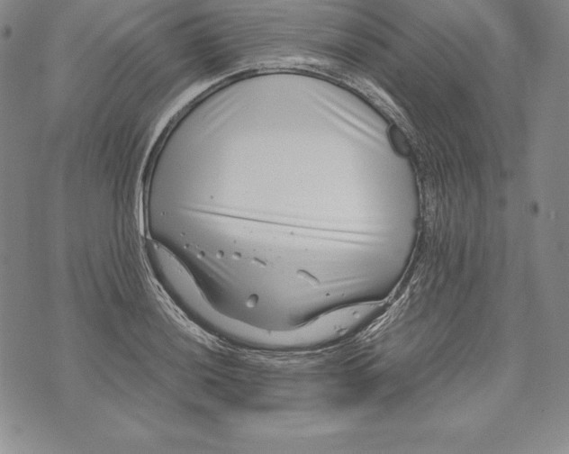 X0000072501036200608041436