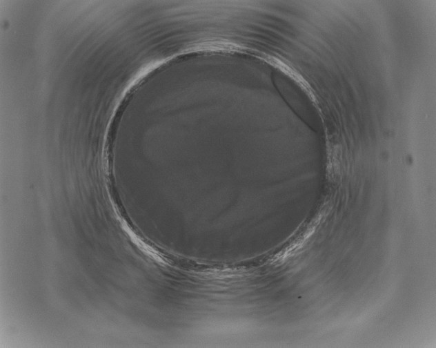 X0000072501037200608041436