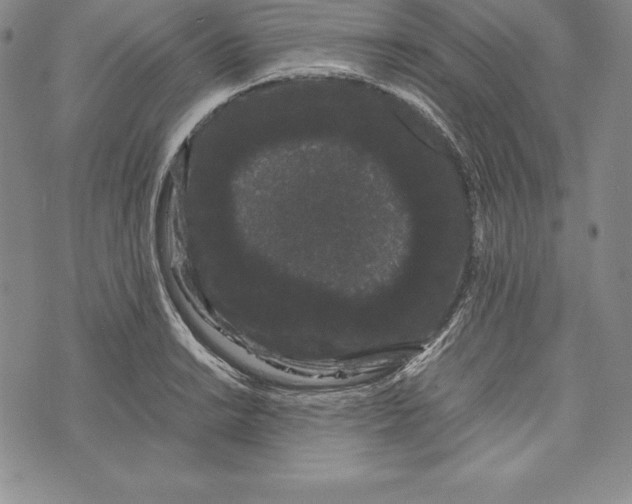 X0000072501038200608041436