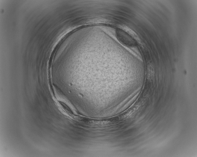 X0000072501039200608041436