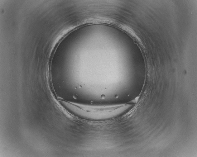 X0000072501040200608041436