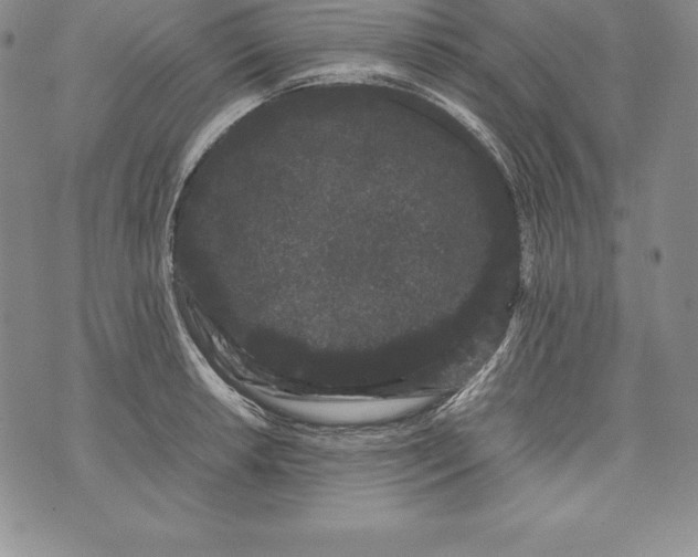 X0000072501042200608041436