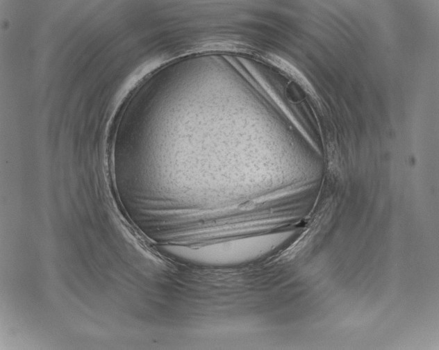 X0000072501043200608041436