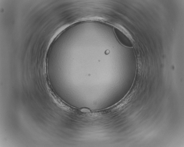 X0000072501044200608041436