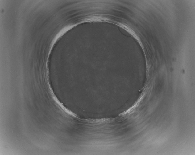 X0000072501045200608041436