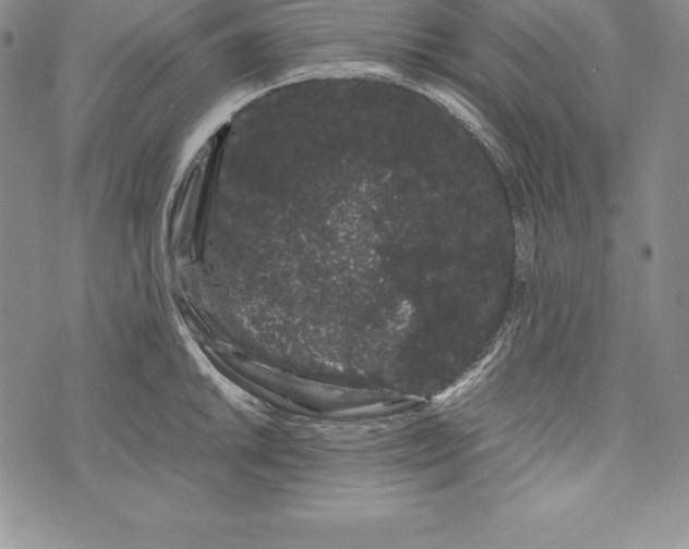 X0000072501046200608041436