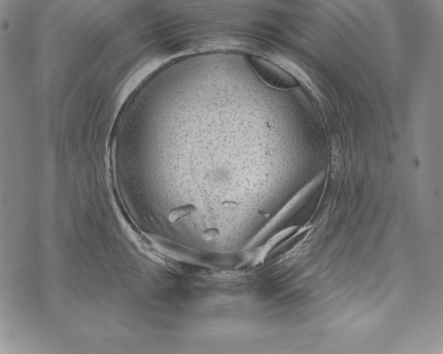 X0000072501047200608041436