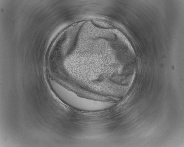 X0000072501048200608041436