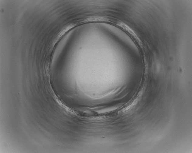 X0000072501049200608041436