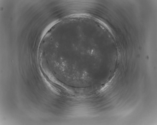 X0000072501050200608041436