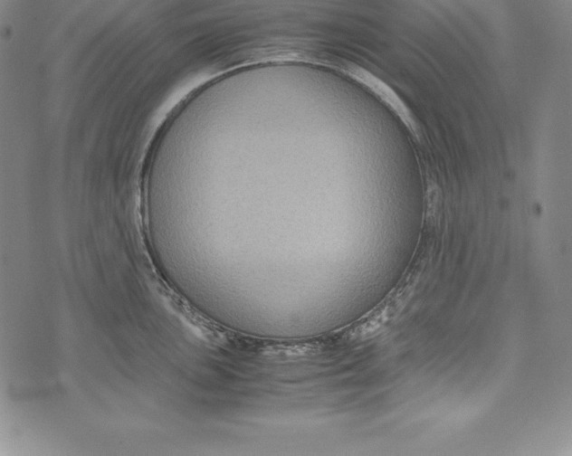 X0000072501051200608041436