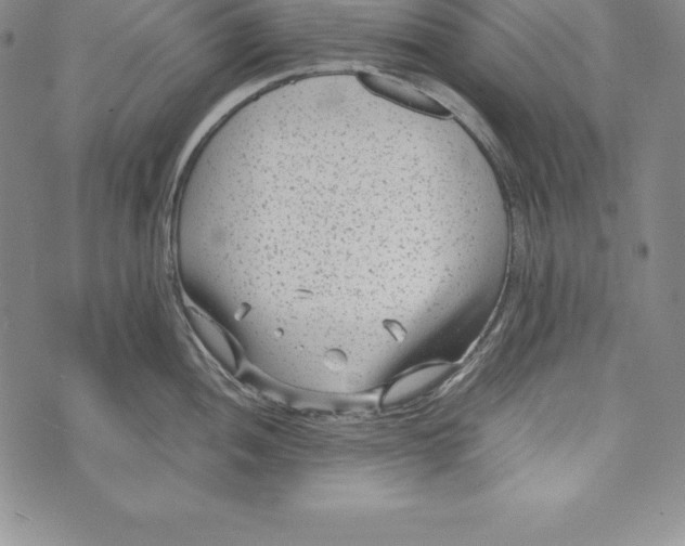 X0000072501052200608041436