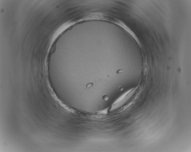 X0000072501053200608041436