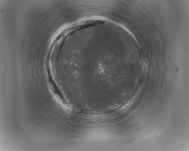 X0000072501054200608041436