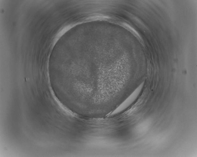 X0000072501055200608041436