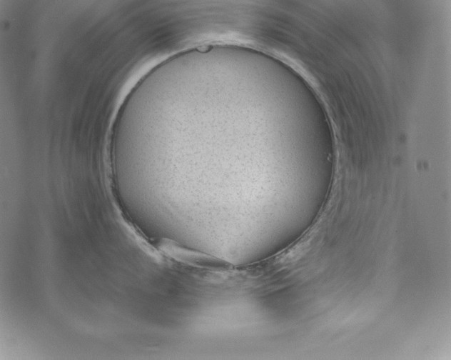 X0000072501056200608041436