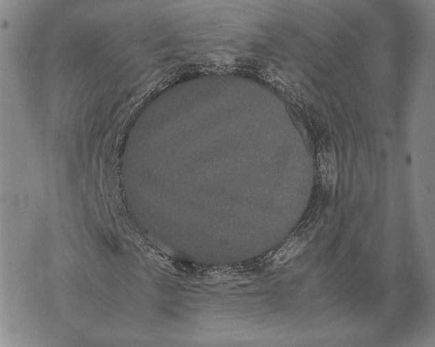 X0000072501057200608041435