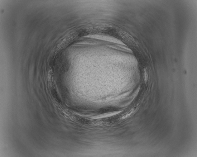 X0000072501059200608041435