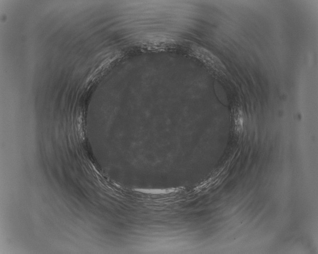 X0000072501060200608041435