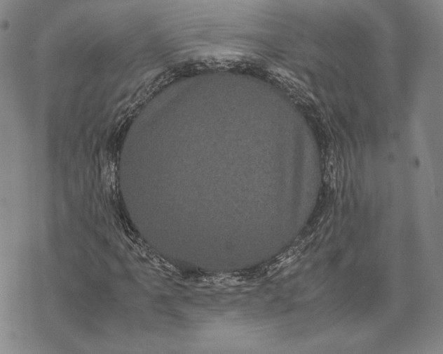 X0000072501061200608041435