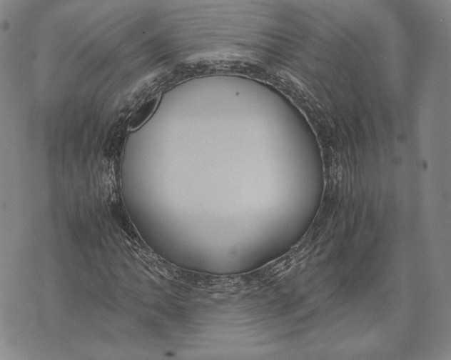 X0000072501062200608041435