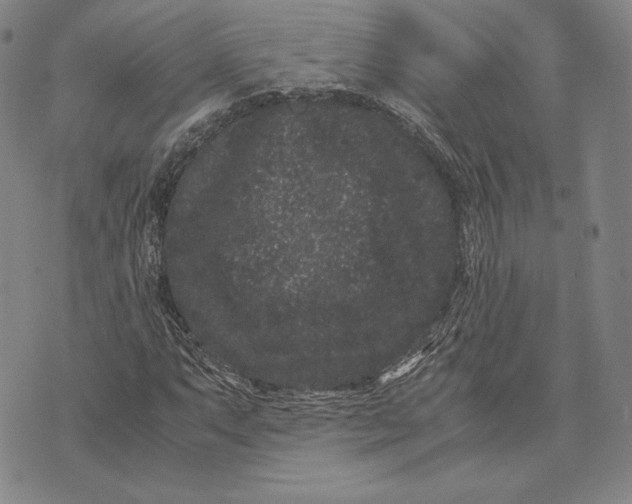 X0000072501063200608041435