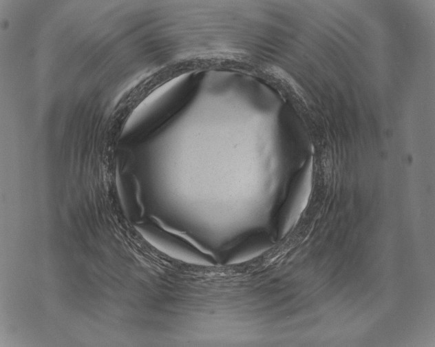 X0000072501064200608041435