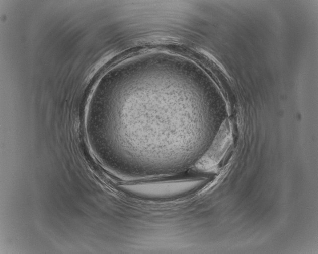 X0000072501065200608041435