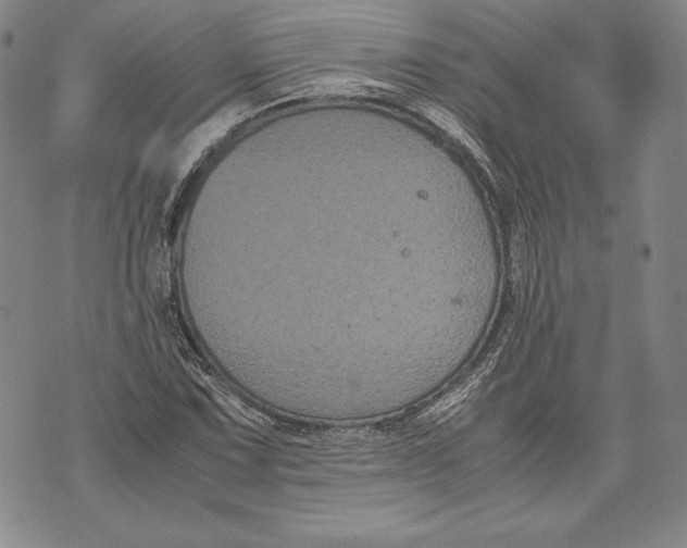 X0000072501067200608041435