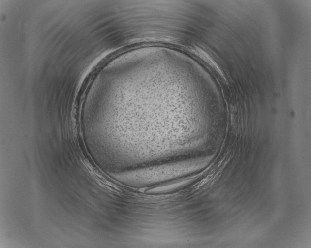 X0000072501068200608041435