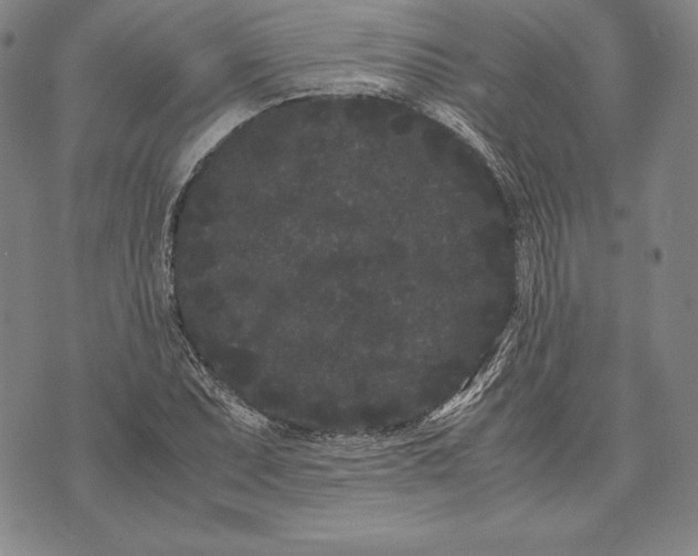 X0000072501071200608041435