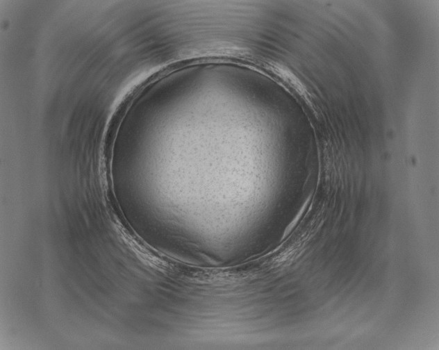 X0000072501072200608041435