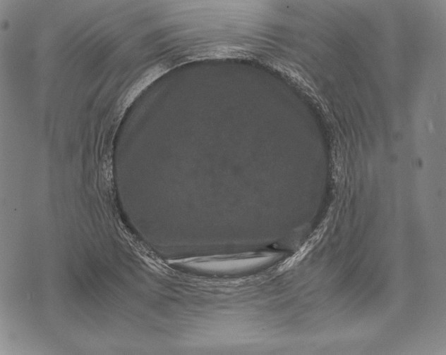 X0000072501073200608041435