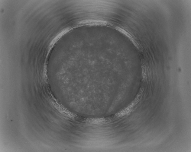 X0000072501074200608041435