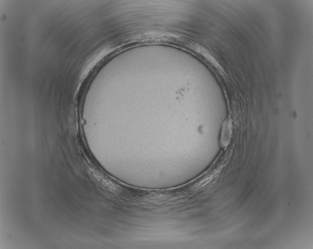 X0000072501075200608041435