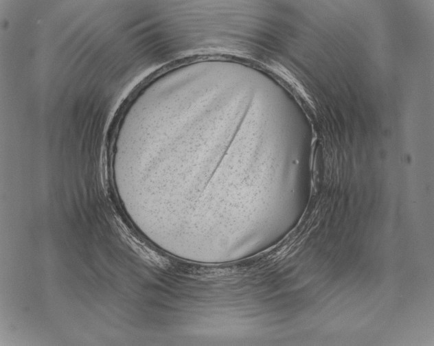 X0000072501076200608041435