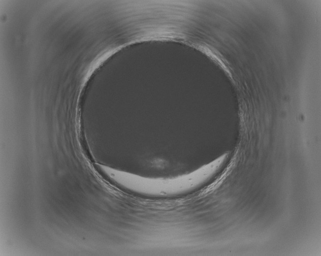 X0000072501077200608041435