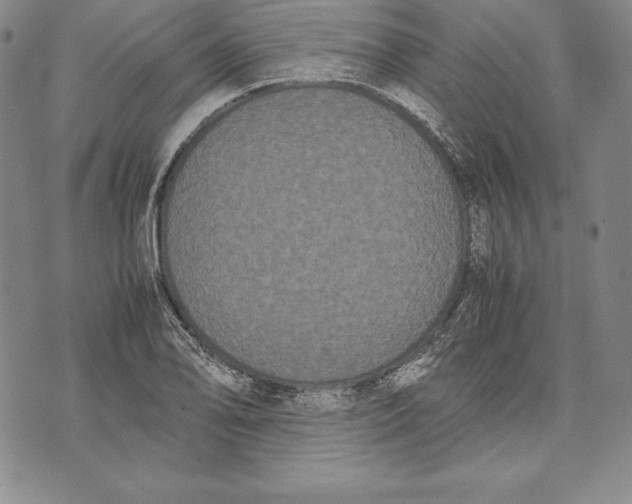 X0000072501078200608041435