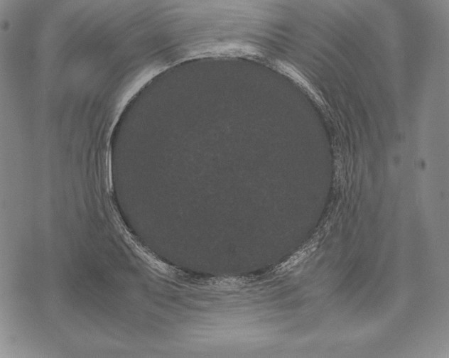 X0000072501079200608041435