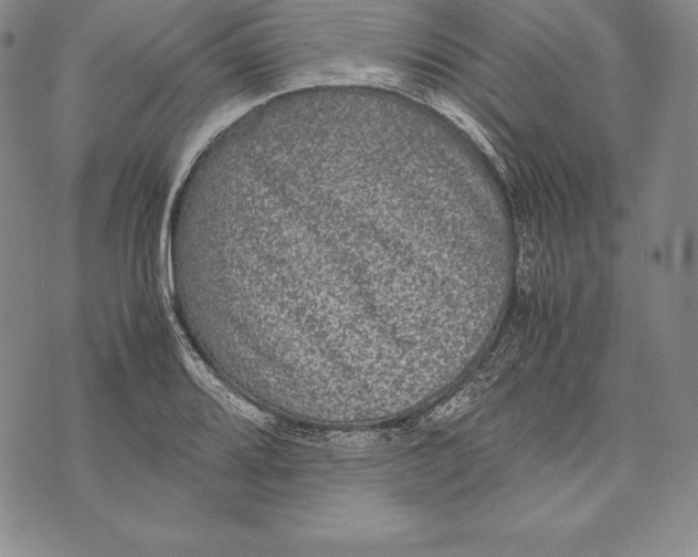 X0000072501080200608041435