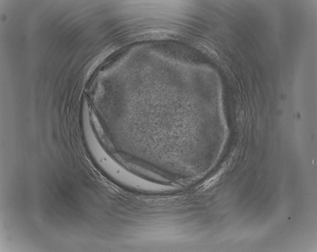 X0000072501081200608041435