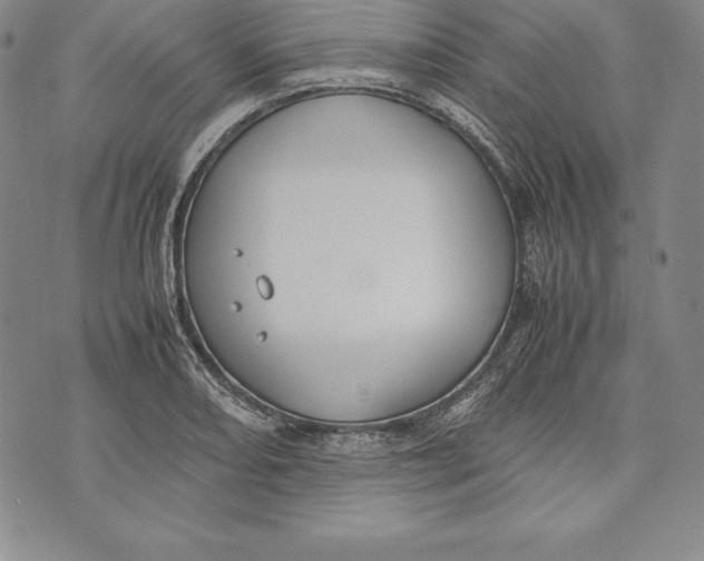 X0000072501082200608041435