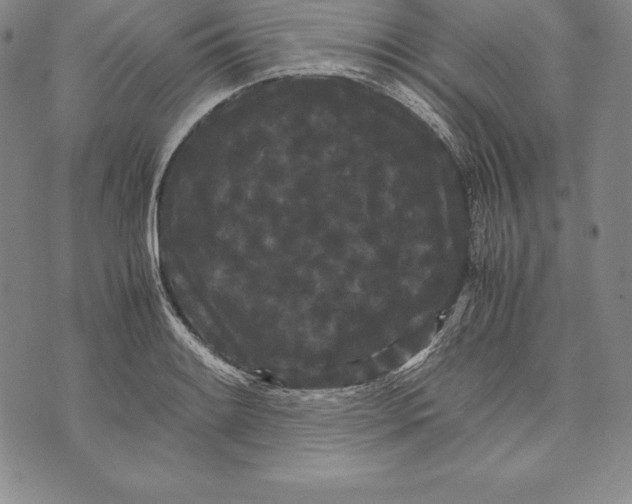 X0000072501084200608041435