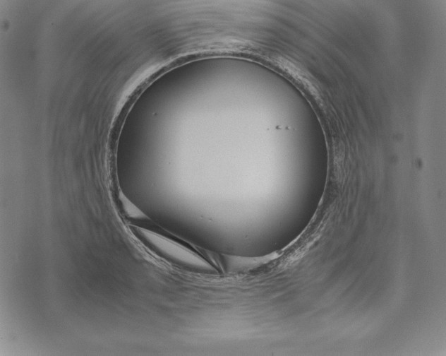 X0000072501085200608041435