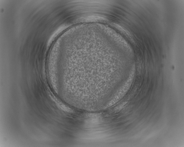 X0000072501086200608041435