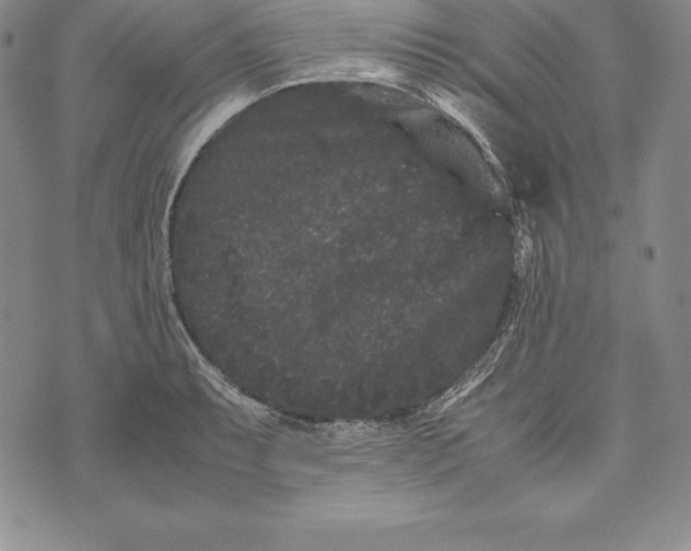 X0000072501087200608041435