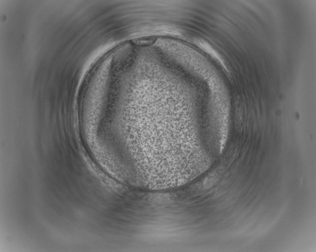 X0000072501088200608041435