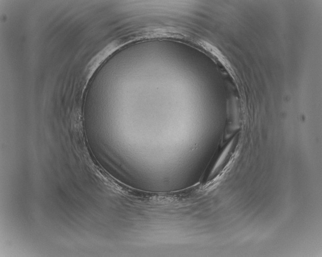 X0000072501089200608041435